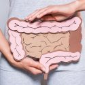 Por Que A Microbiota Intestinal é Tão Importante Para A Saúde?