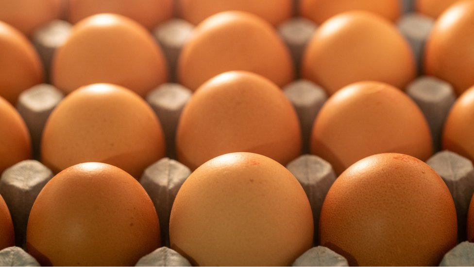 Veja 10 motivos para você nunca parar de comer ovos