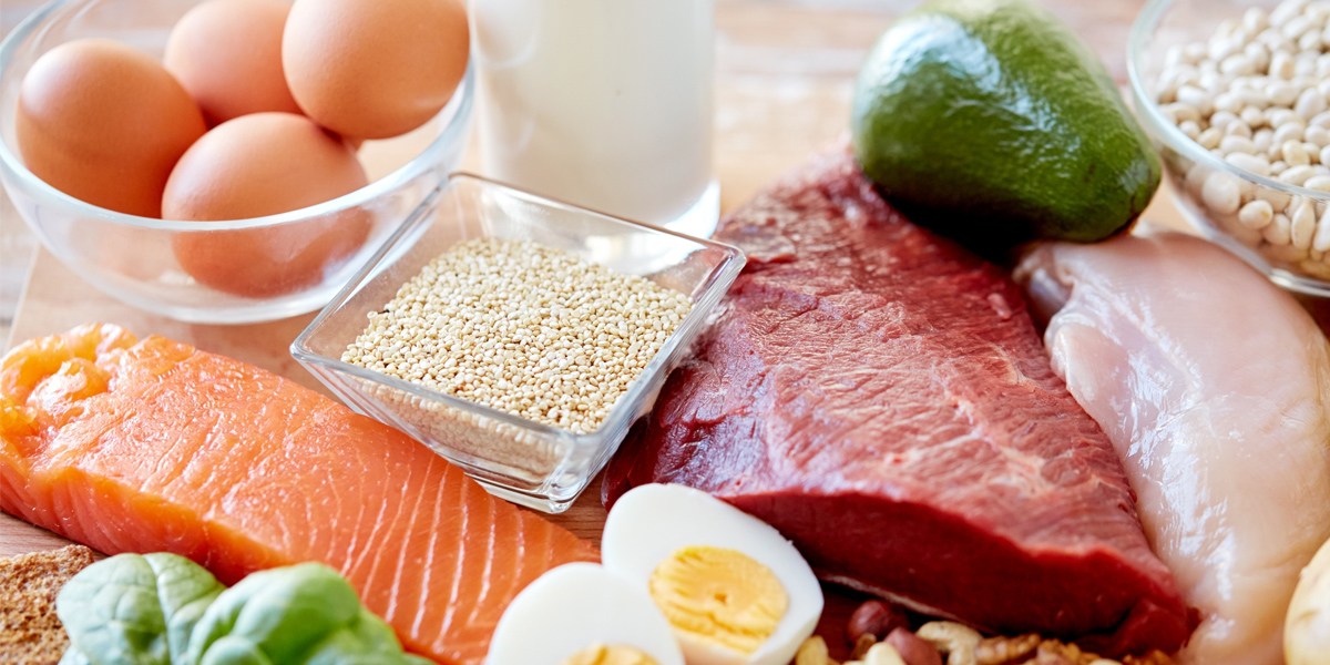 carboidratos, proteínas e gorduras