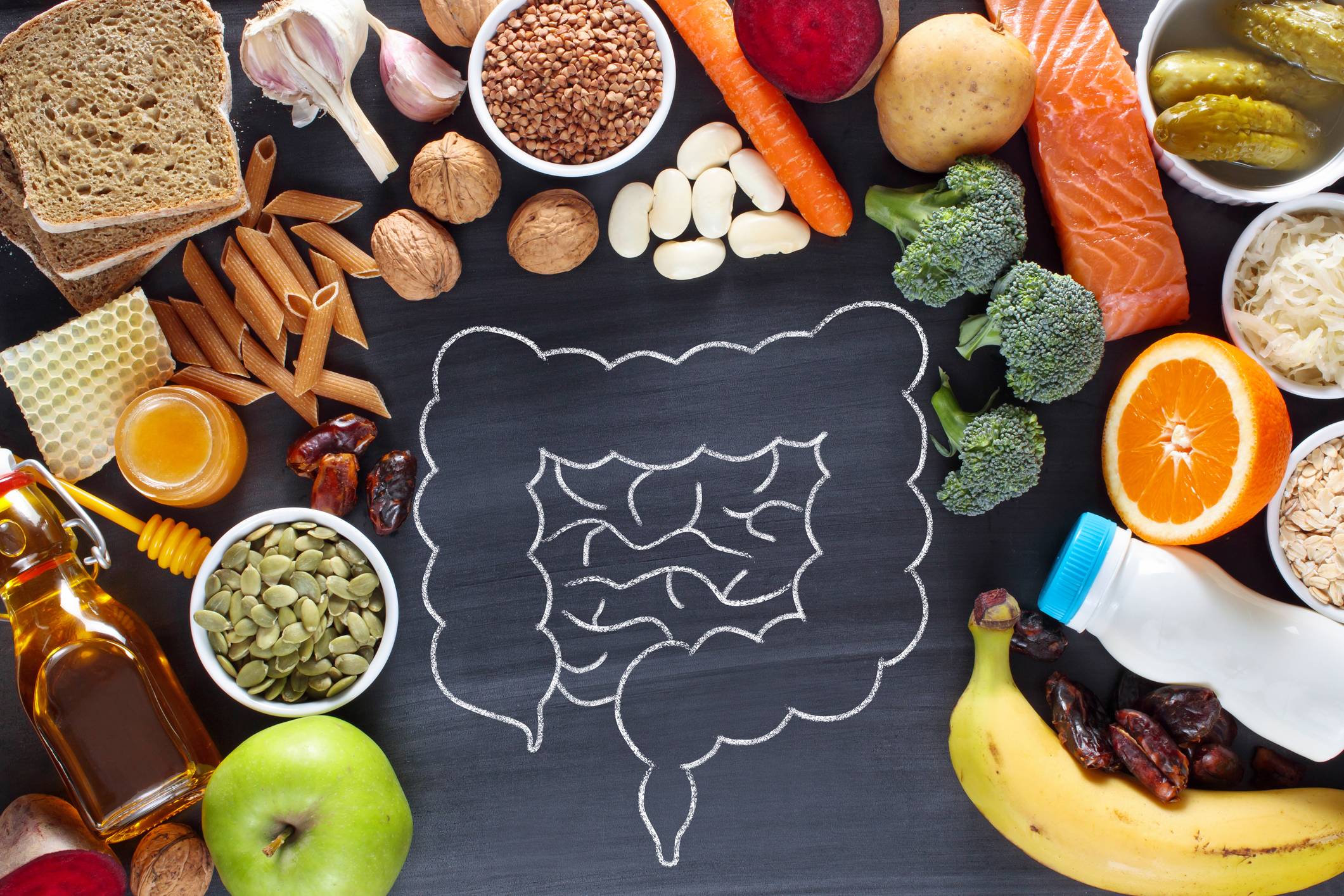 microbiota intestinal